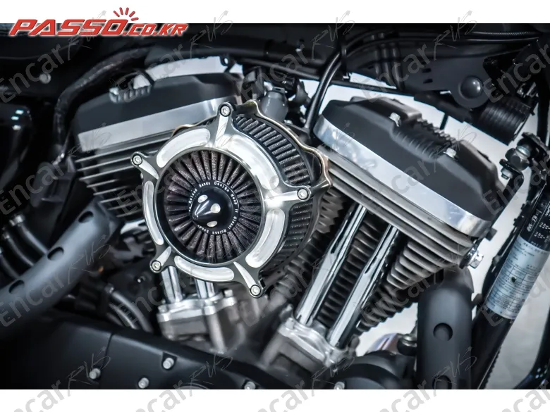 Harley-Davidson Roadster 1200 - фото 4