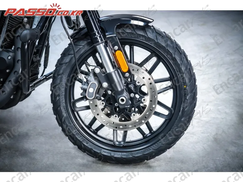 Harley-Davidson Roadster 1200 - фото 5