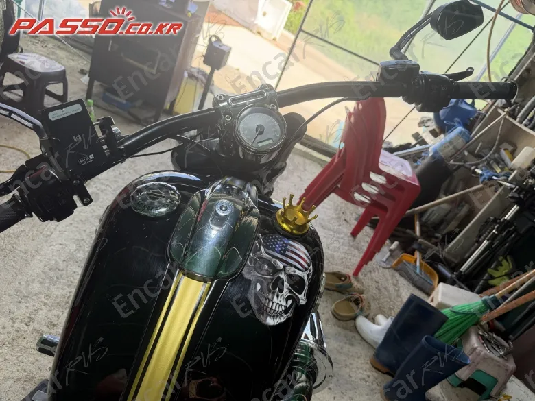 HARLEY-DAVIDSON BREAKOUT - фото 3