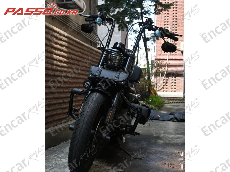 Harley-Davidson Roadster 1200 - фото 6