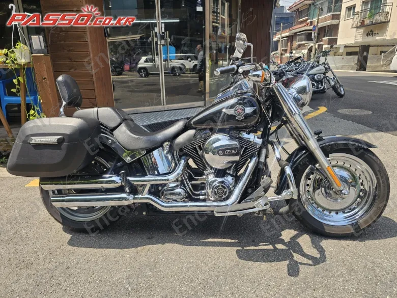 Harley-Davidson Flstf - фото 0