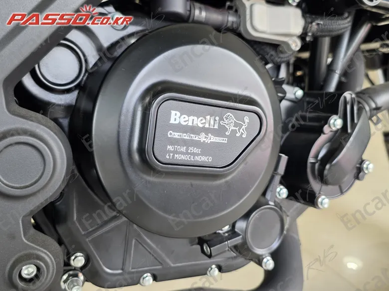 Benelli Leoncino 250 - фото 4