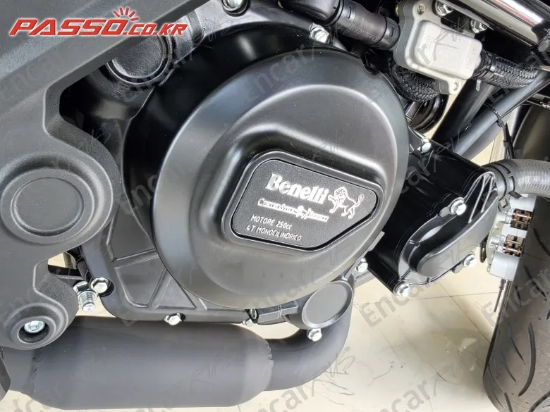 Benelli Leoncino 250 - фото 4
