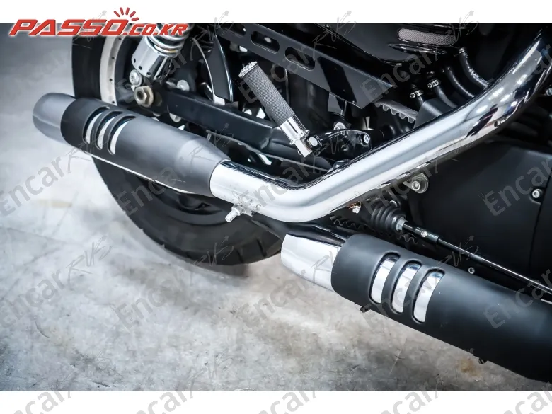 Harley-Davidson Roadster 1200 - фото 6