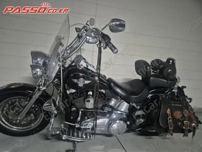 Harley-Davidson Flstf - фото 0