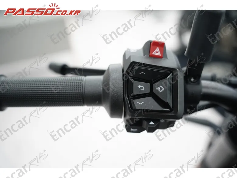 Husqvarna Svartpilen 801 - фото 3