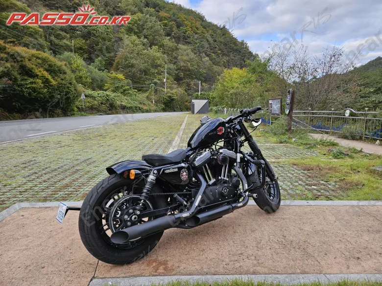 Harley-Davidson Xl 1200 X Forty Eight 48 - фото 0