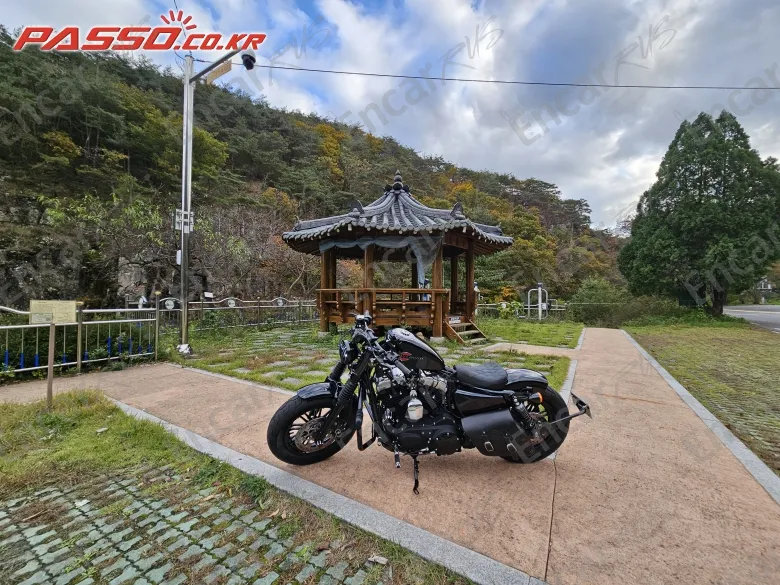 Harley-Davidson Xl 1200 X Forty Eight 48 - фото 1