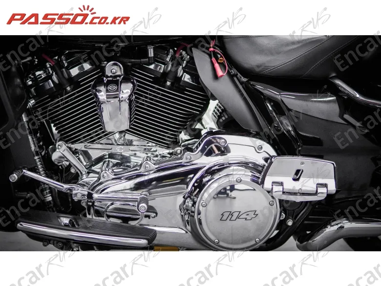 Harley-Davidson Fltru - фото 4
