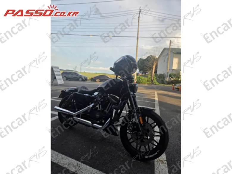 Harley-Davidson Roadster 1200 - фото 3
