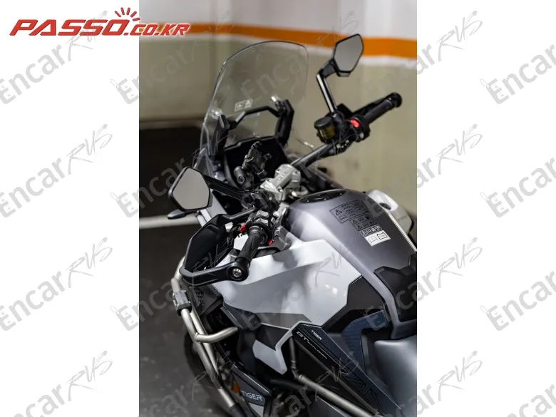 TRIUMPH TIGER 1200 EXPLORER GT - фото 3