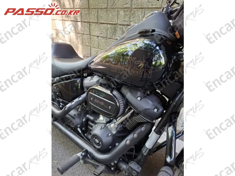 HARLEY-DAVIDSON FXDLS - фото 4