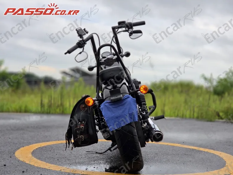 Harley-Davidson Xl 1200 X Forty Eight 48 - фото 2