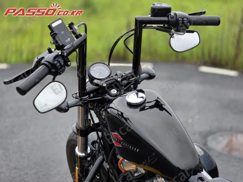 Harley-Davidson Xl 1200 X Forty Eight 48 - фото 3