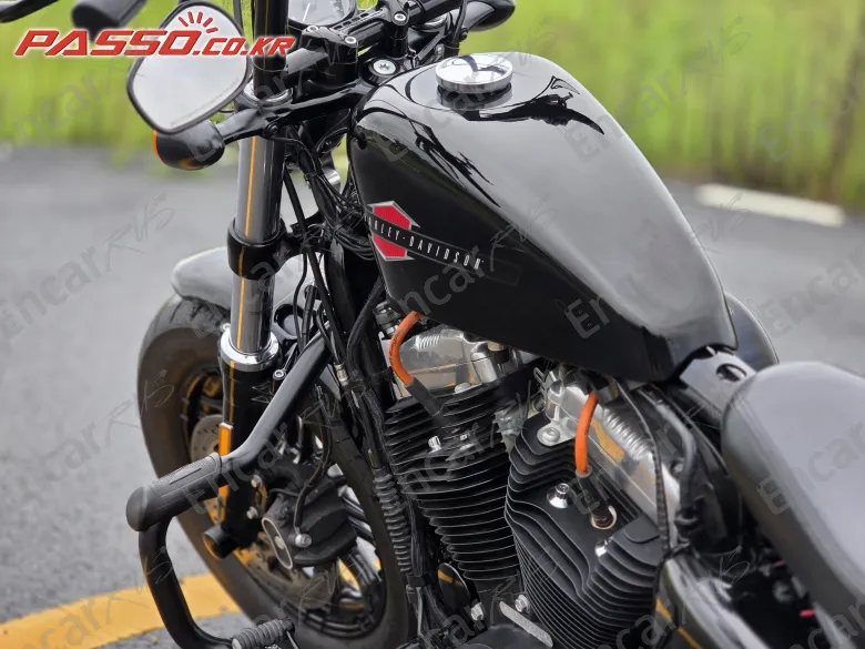 Harley-Davidson Xl 1200 X Forty Eight 48 - фото 4