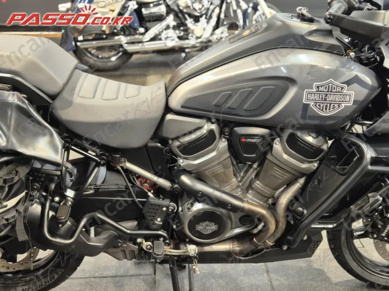 Harley-Davidson Pan America 1250 Special - фото 0
