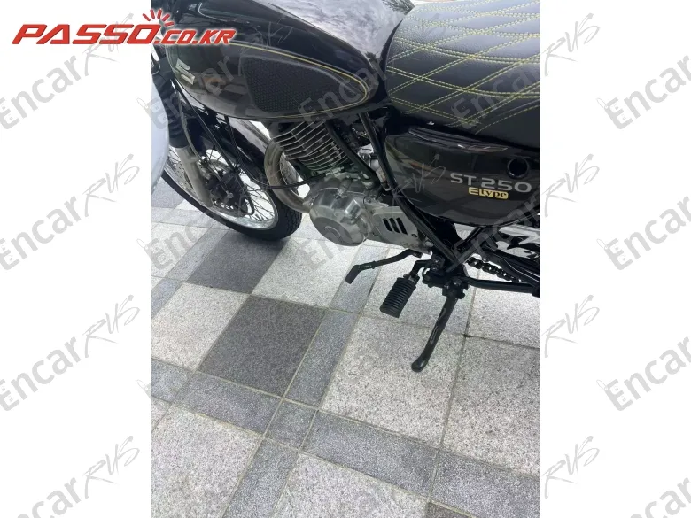 Suzuki ST 250 - фото 5