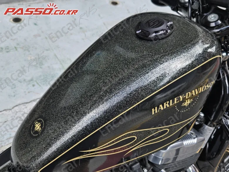 Harley-Davidson Xl 1200 X Forty Eight 48 - фото 4