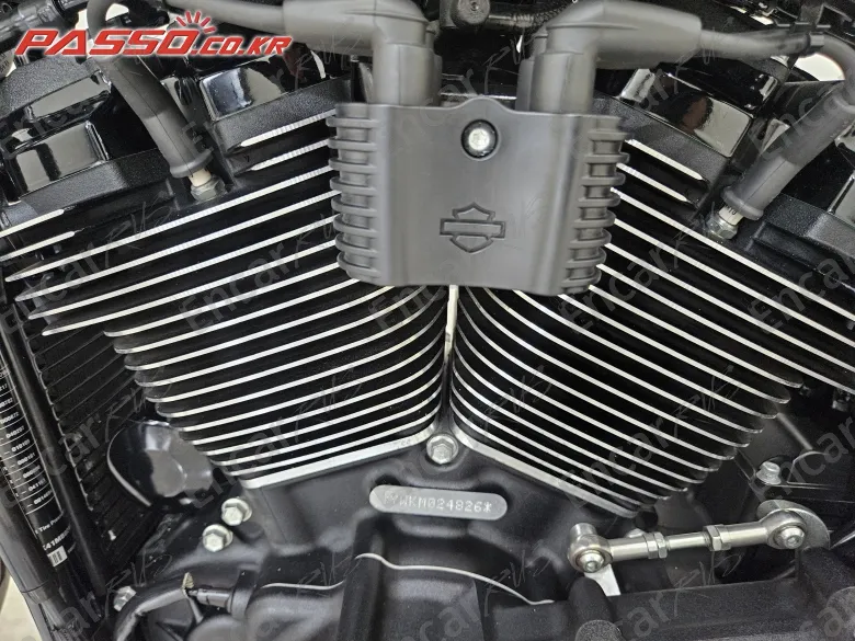 HARLEY-DAVIDSON SOFTAIL LOW RIDER S - фото 4