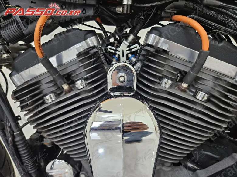 Harley-Davidson Roadster 1200 - фото 4