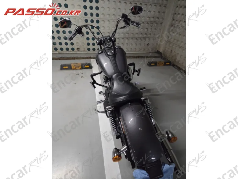 HARLEY-DAVIDSON FXDBI - фото 2