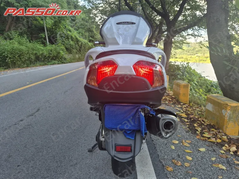 SUZUKI BURGMAN 650 EXECUTIVE - фото 2