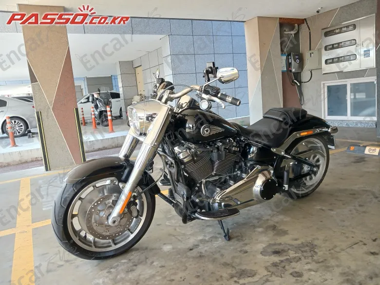HARLEY-DAVIDSON FAT BOY 117 - фото 1