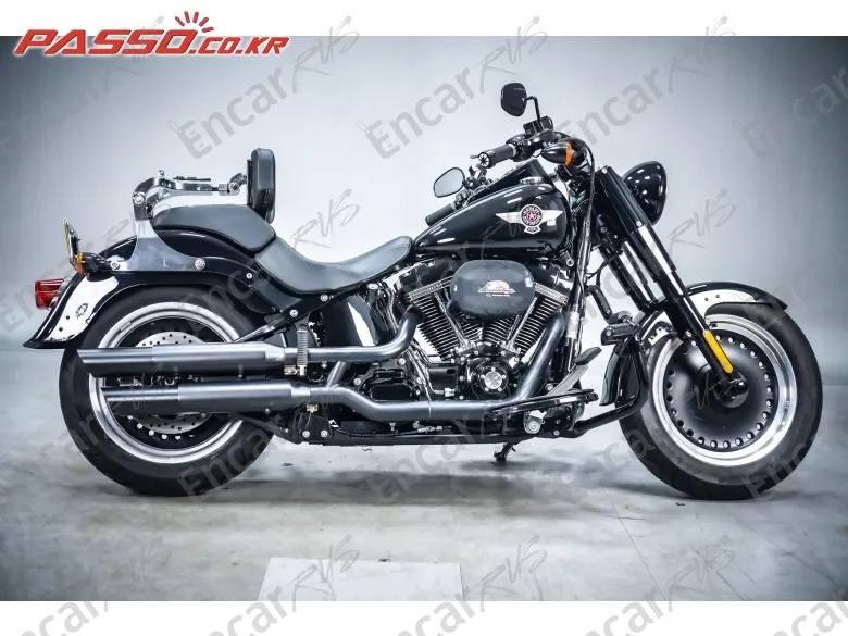 Harley-Davidson Flstfbs - фото 0