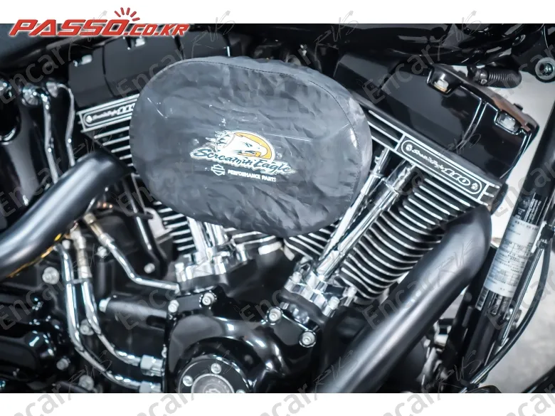 Harley-Davidson Flstfbs - фото 4