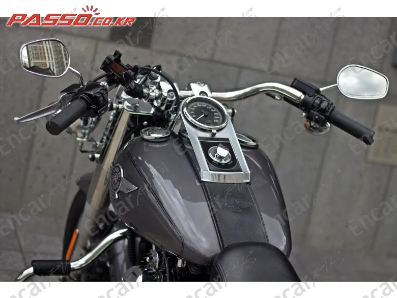 HARLEY-DAVIDSON FLSTF - фото 3