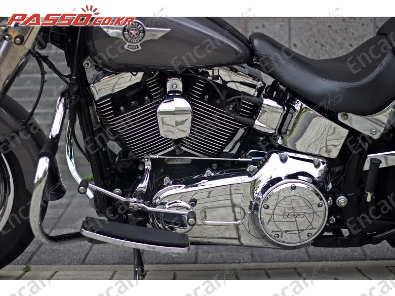 HARLEY-DAVIDSON FLSTF - фото 4