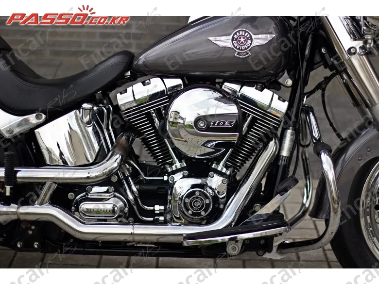 HARLEY-DAVIDSON FLSTF - фото 5
