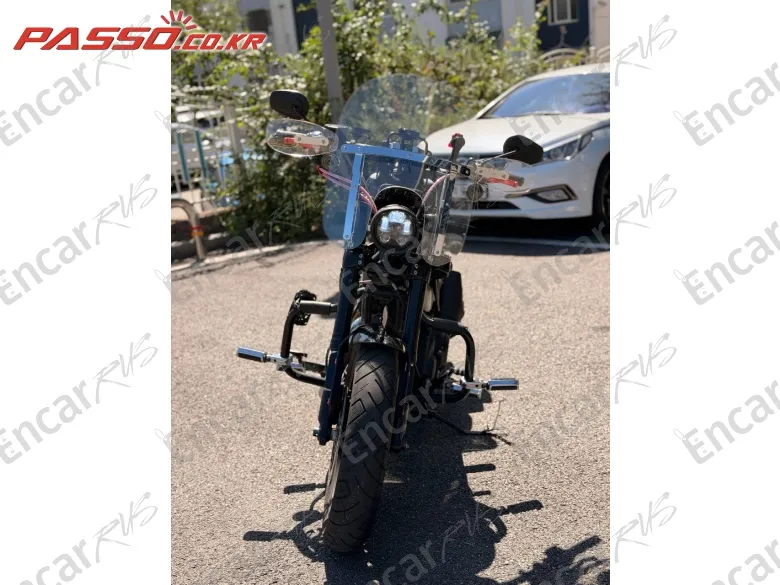 HARLEY-DAVIDSON ROADSTER 1200 - фото 6
