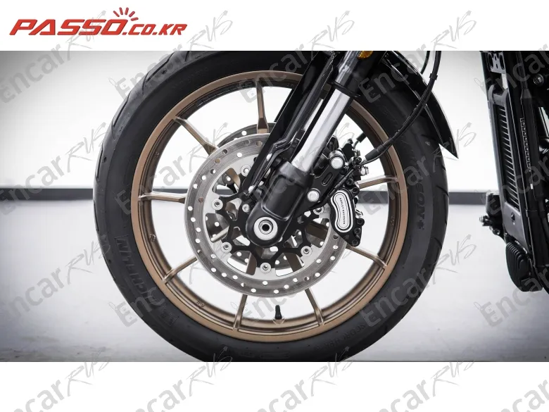 Harley-Davidson Low Rider St - фото 5