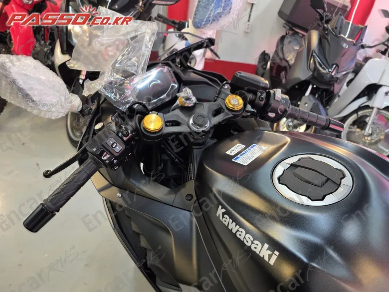 KAWASAKI NINJA ZX 4 RR - фото 3