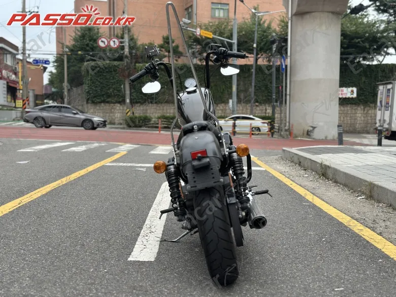 Harley-Davidson XL 883 N - фото 2