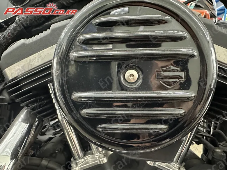 Harley-Davidson XL 883 N - фото 4