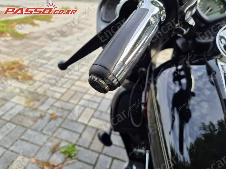 Harley-Davidson Fltru - фото 3