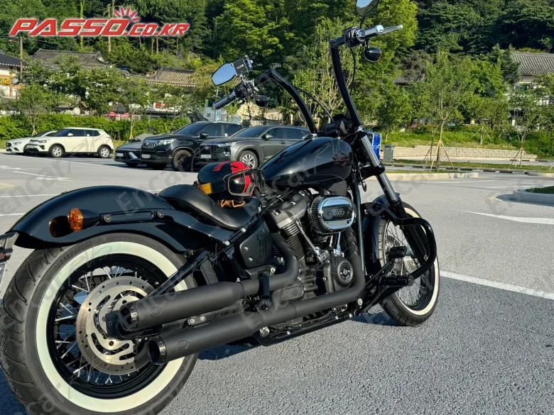 Harley-Davidson Street Bob - фото 2