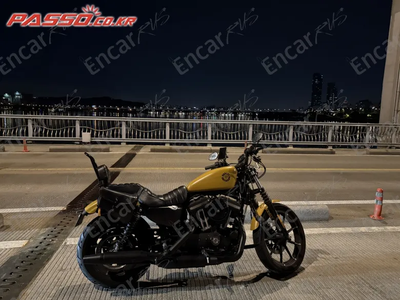 Harley-Davidson XL 883 N - фото 0