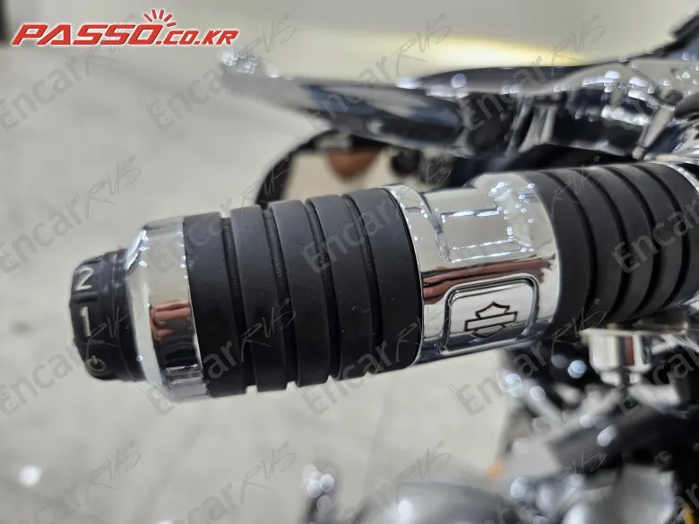 Harley-Davidson Flhxse - фото 3