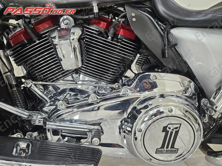 Harley-Davidson Flhxse - фото 4