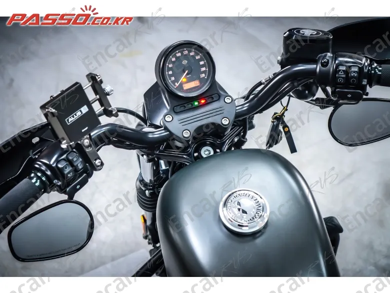 Harley-Davidson XL 883 N - фото 3