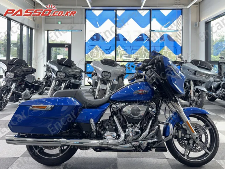 Harley-Davidson Flhx - фото 0